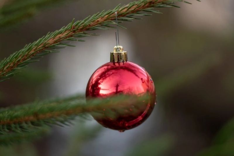 Best preservation tips for flocked Christmas trees