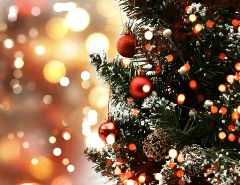 A Dusty Christmas Theme With Flocked Christmas Trees