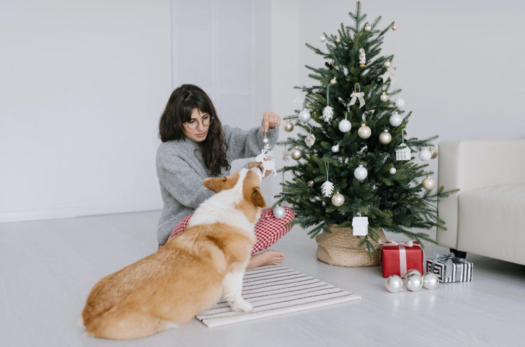 Go Green with Artificial Christmas Trees: Great Decoration Ideas & Charity