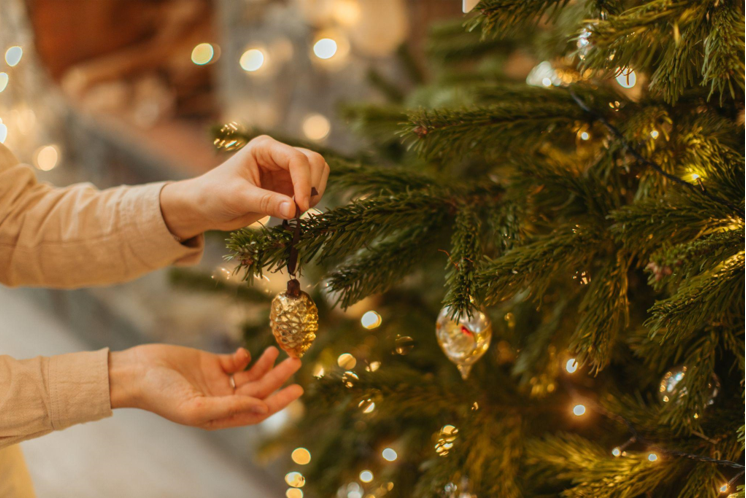 The Pink Tree: A Symbol of Hope, Love, and Kindness