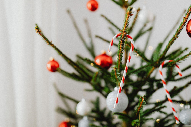 Embrace the Joy of Table Top Christmas Trees